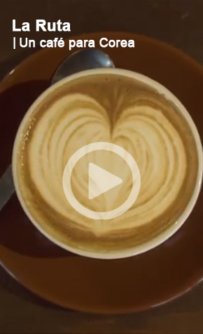 Ver Video La Ruta | Un café para Corea 